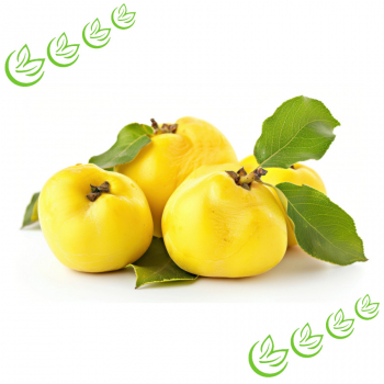 Parfümöl Quince Harvest 5 l